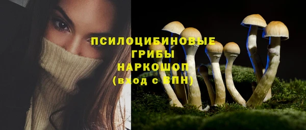 крисы Михайлов